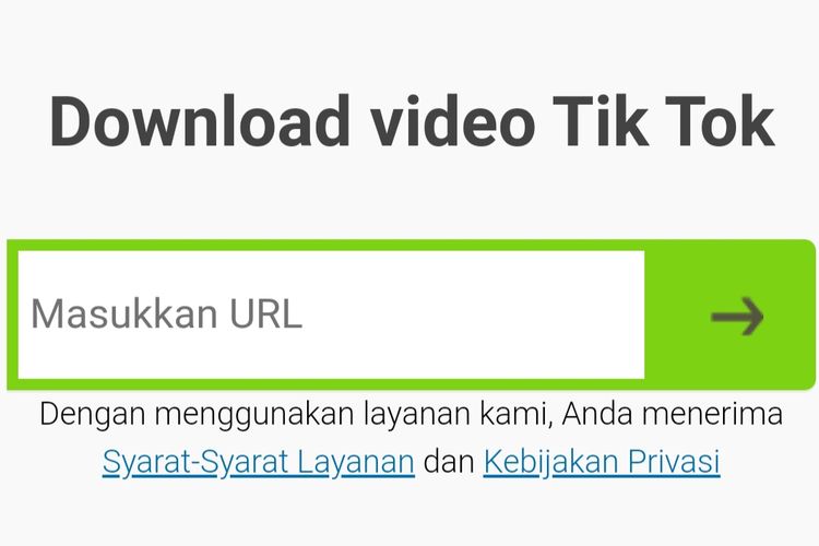 Review Savefrom TikTok MP3