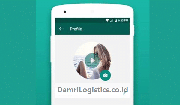 Download Provid Whatsapp Profile Video Apk (PP WA Bergerak)