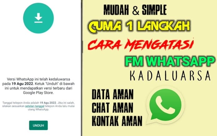 Cara Merawat Apk FMWhatsApp Supaya Tidak Mudah Kadaluarsa